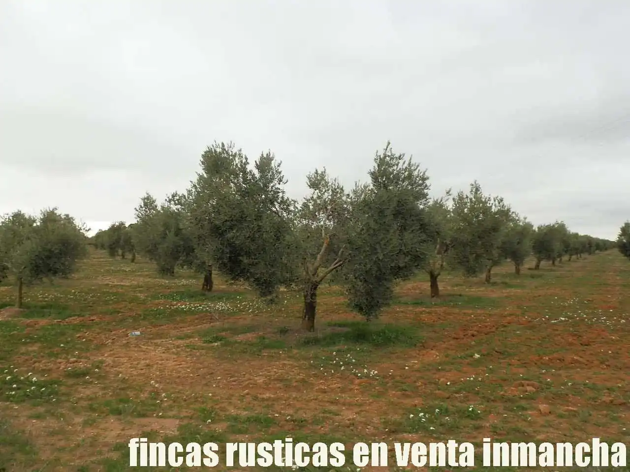 Terreno rustico in vendita a Campo de Criptana, imagen 10
