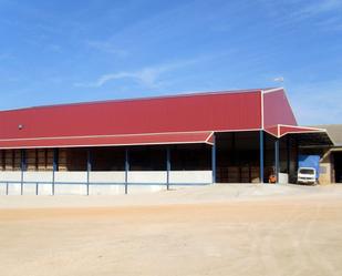 Exterior view of Industrial buildings for sale in Mota del Cuervo