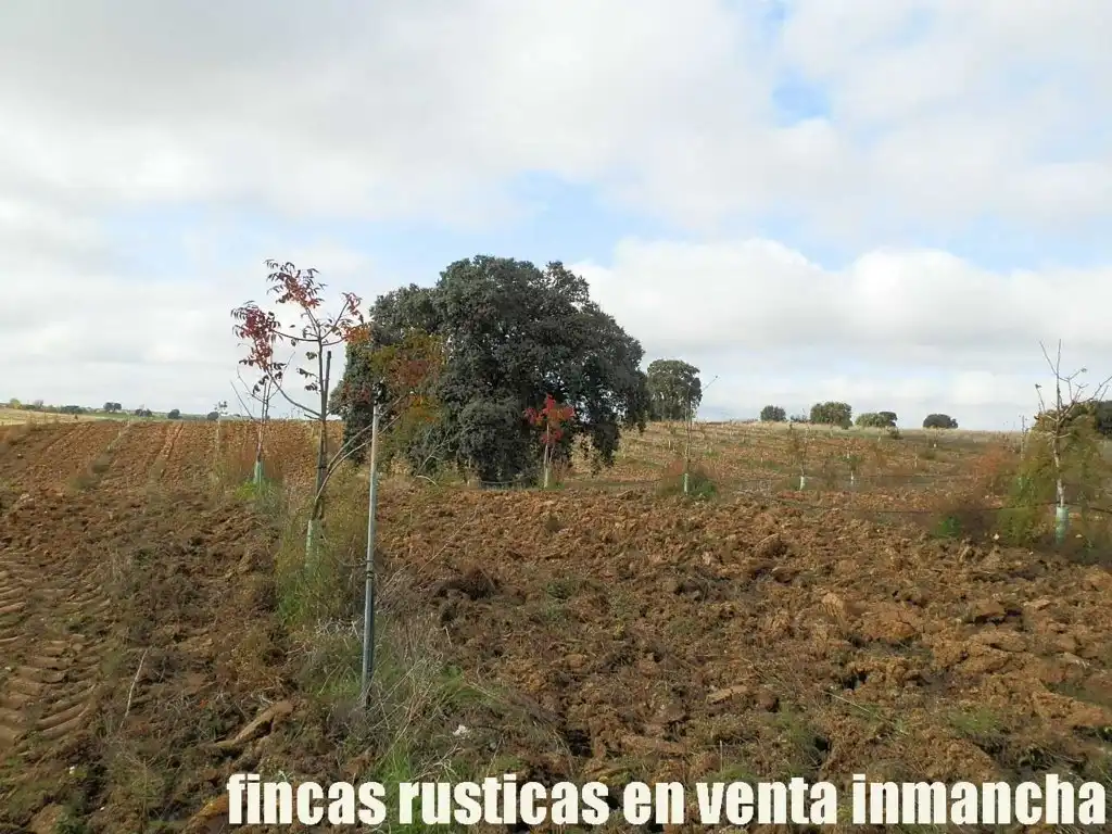 Terreni e lotti in vendita a Torrijos, imagen 3