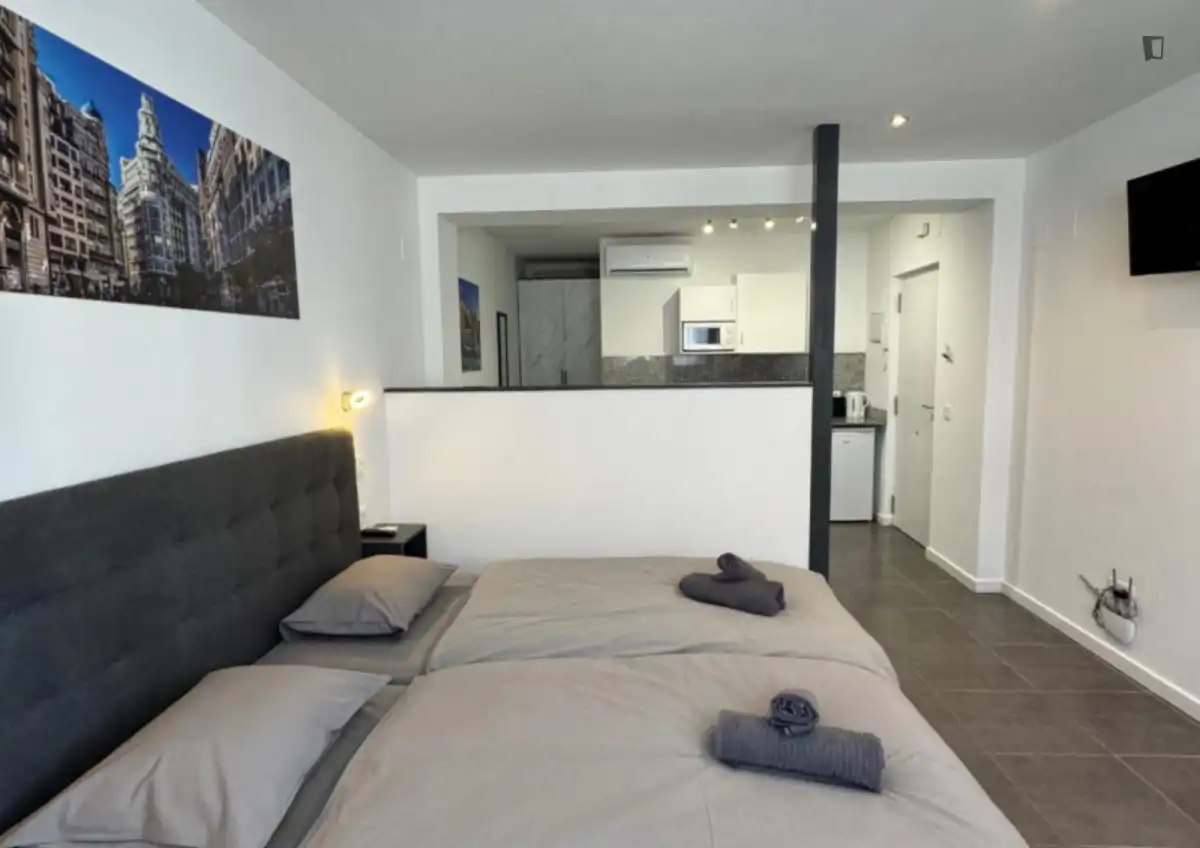 Habitación de Estudio de alquiler en Valencia con Aire acondicionado, Amueblado y Microondas