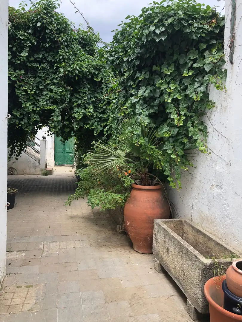 Vista exterior de Finca rústica en venta en Vilassar de Mar con Calefacción, Jardín privado y Terraza
