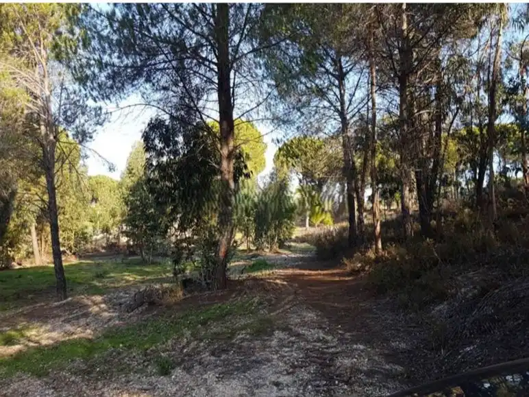 Terrenys i solars en venda a LA TROMPETA PARCELA 123, imagen 3