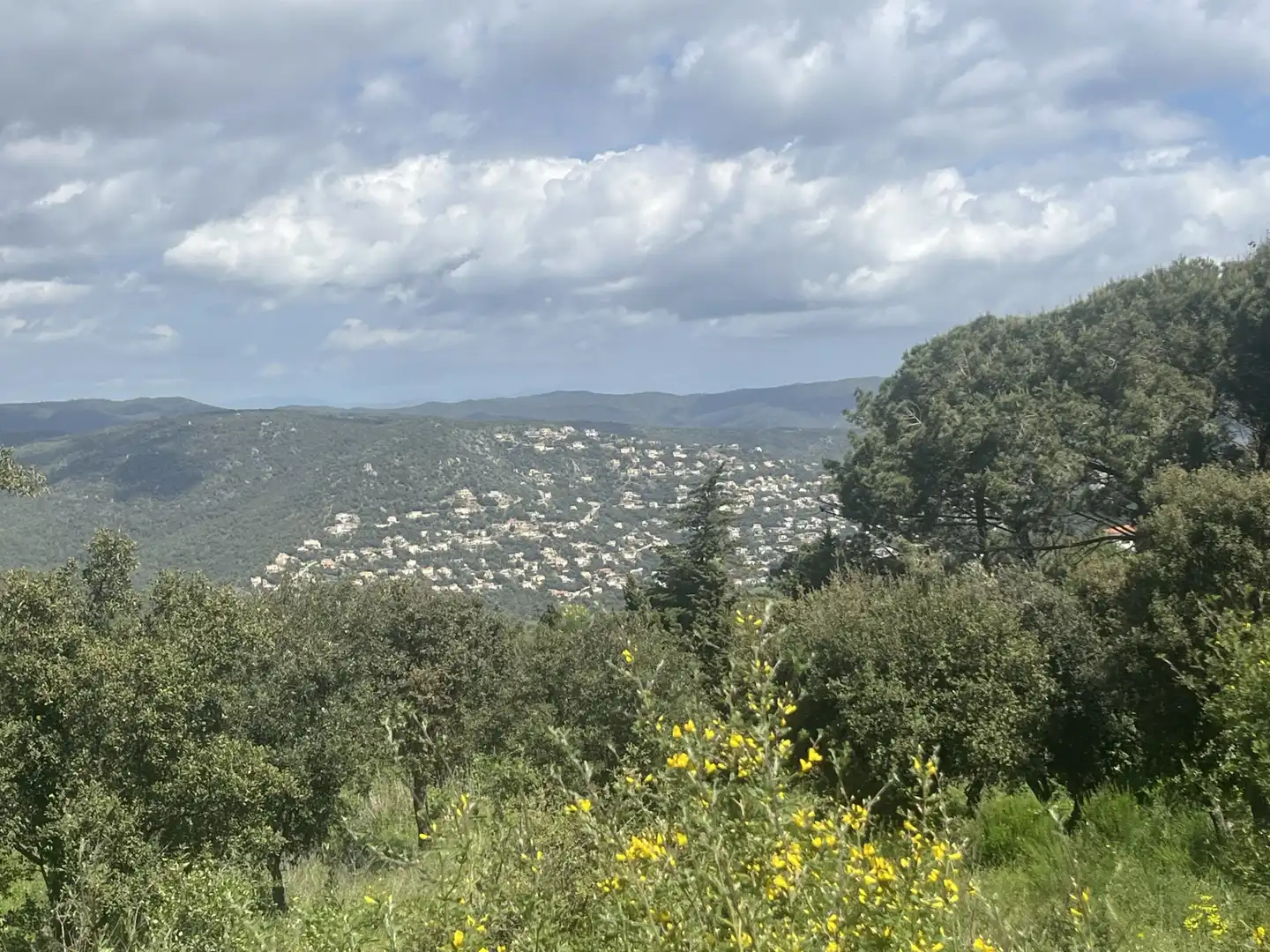 Lands and plots for sale in DE ROMANYÀ, imagen 4