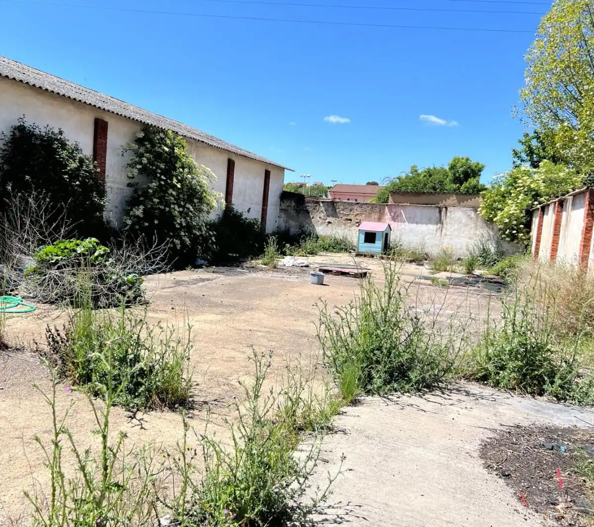 Nave industrial en venta en AV AGUSTINOS DE LEON 17, imagen 4