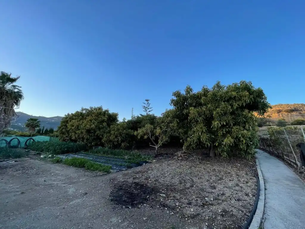 Finca rústica en venta en N/A, Avda Pescia - Ctra de Frigiliana