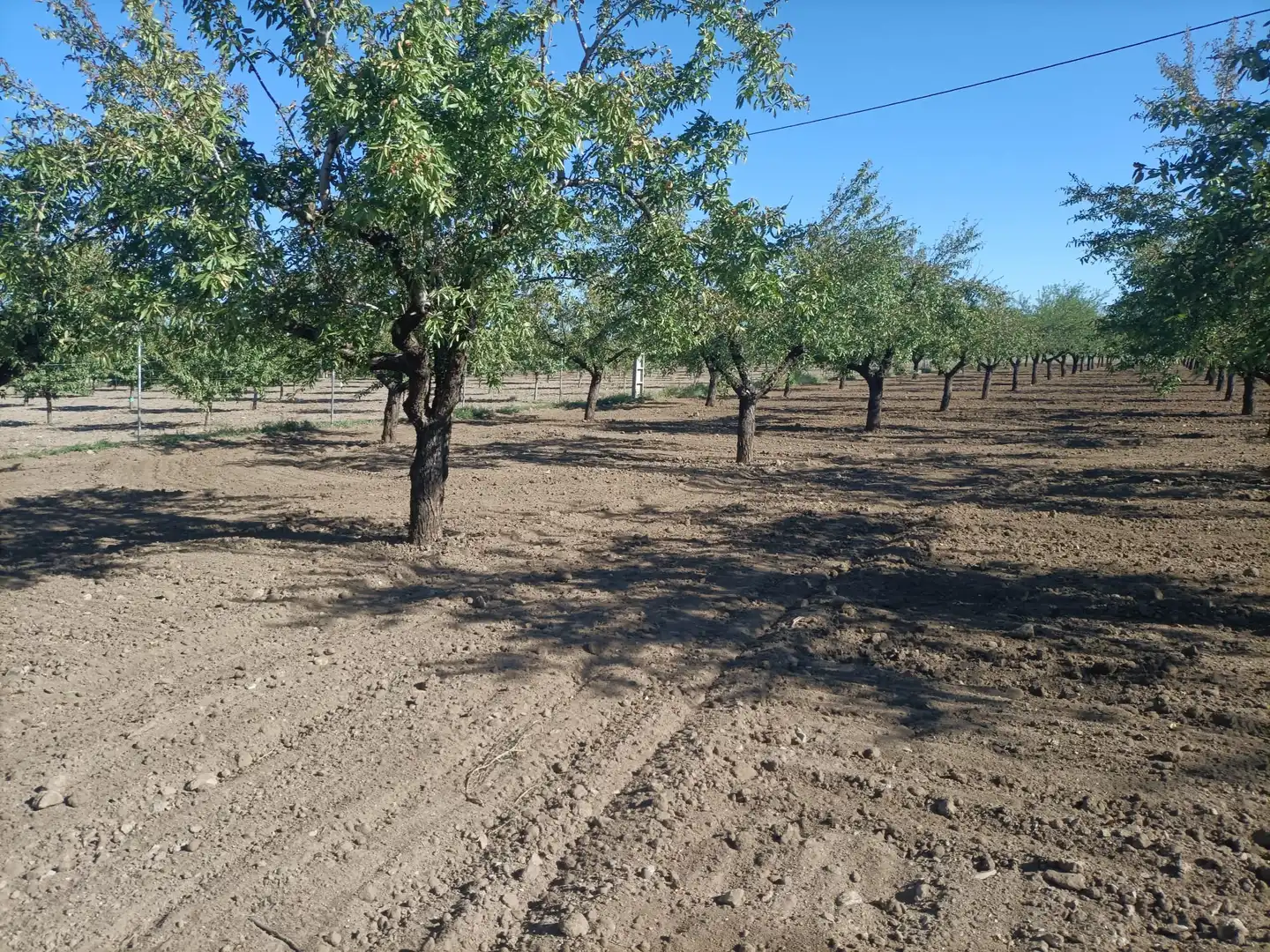 Terreno rustico in vendita a Nambroca, imagen 7