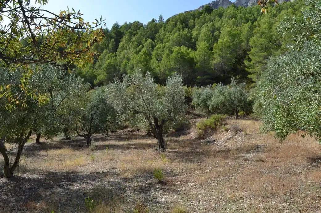 Grundstücke und Bauplätze zum Verkauf in El Castell de Guadalest, imagen 5