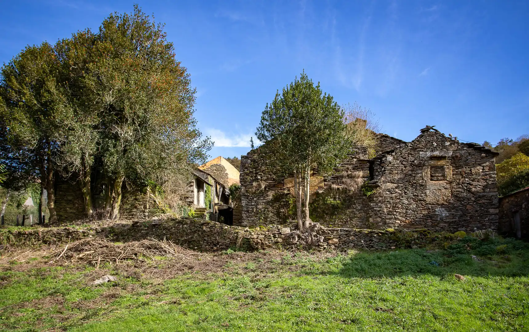 Vista exterior de Finca rústica en venta en Beariz