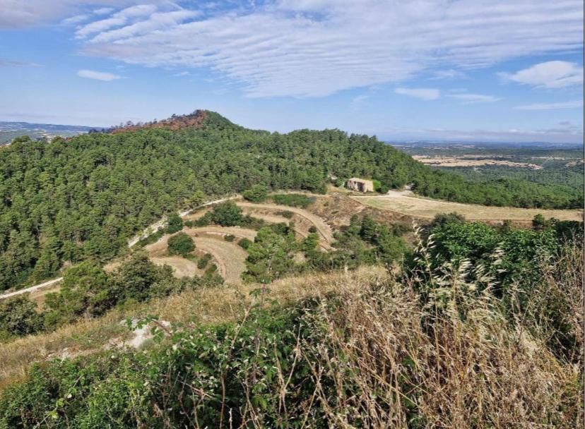 Finca rústica en venda en Sant Pere Sallavinera