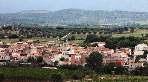 Foto 5 de Finca rústica en venda a Carrer del Sol, Sant Climent Sescebes, Girona