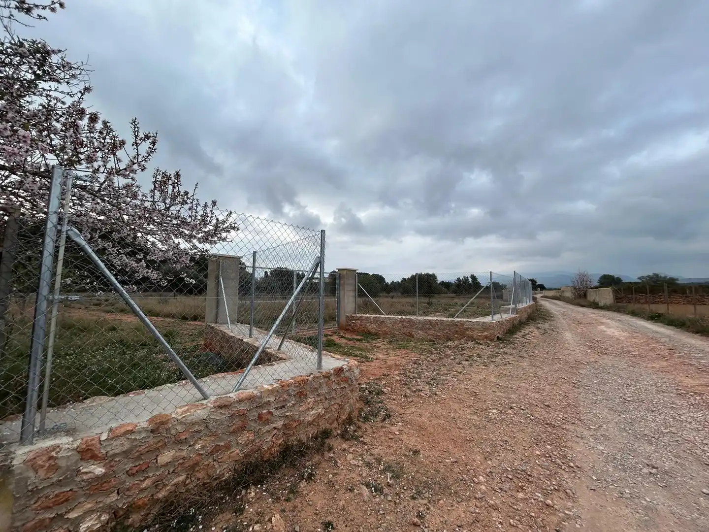 Terreno rustico in vendita a Los Pinares - La Masia, imagen 4