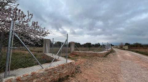Terreno rústico en Bétera, imatge 4
