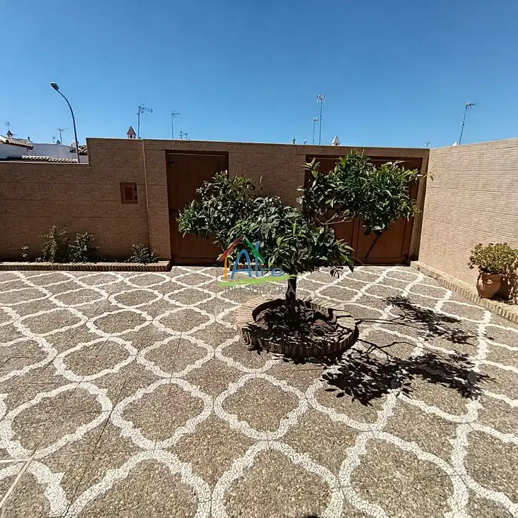 Jardí de Casa o xalet en venda en Almonte amb Terrassa