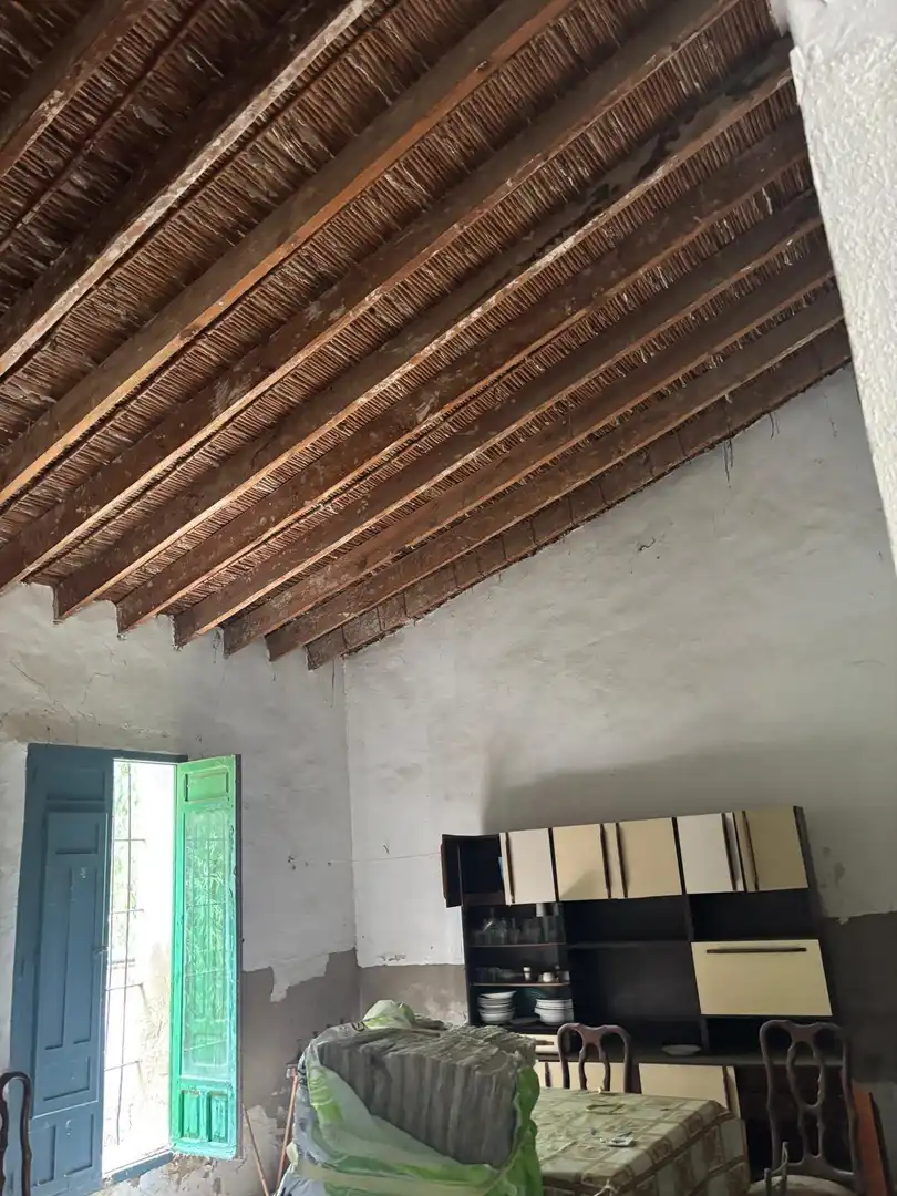 Finca rústica en venta en Guardamar del Segura