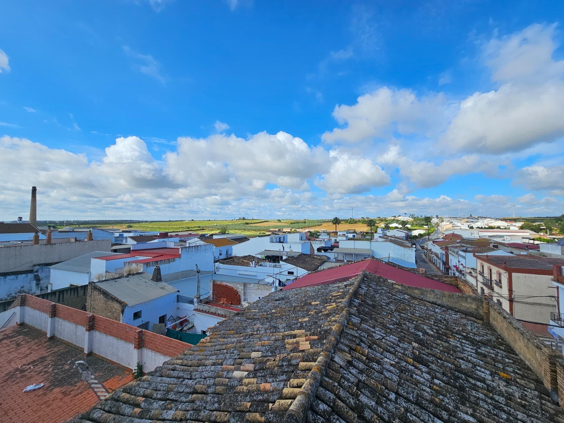 Exterior view of House or chalet for sale in Rociana del Condado  with Air Conditioner, Terrace and Storage room