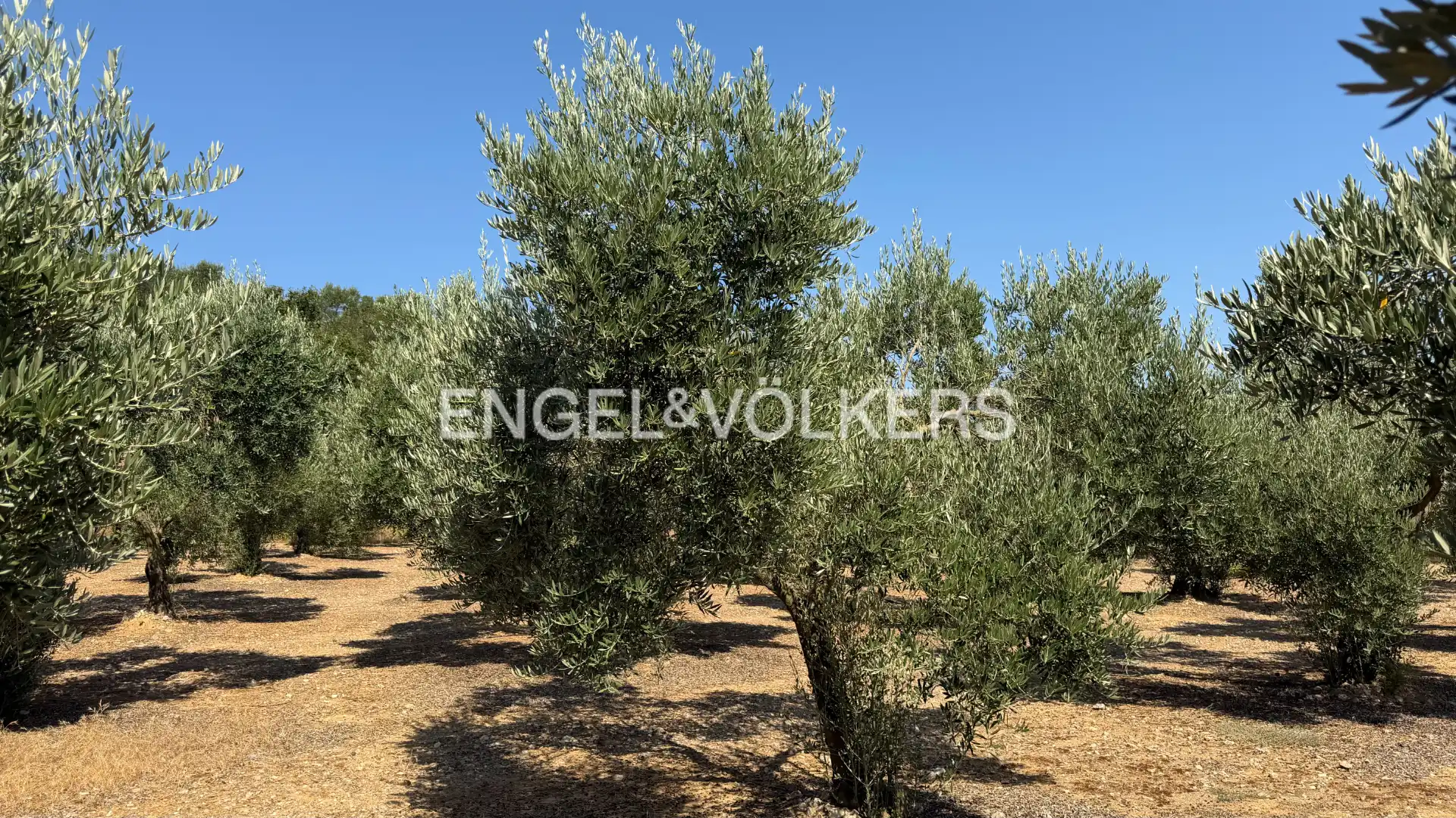 Land for sale in Pedret i Marzà