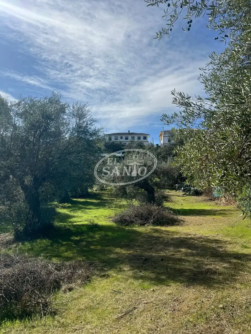 Detached house with pool for sale in Norte-Sierra, imagen 46