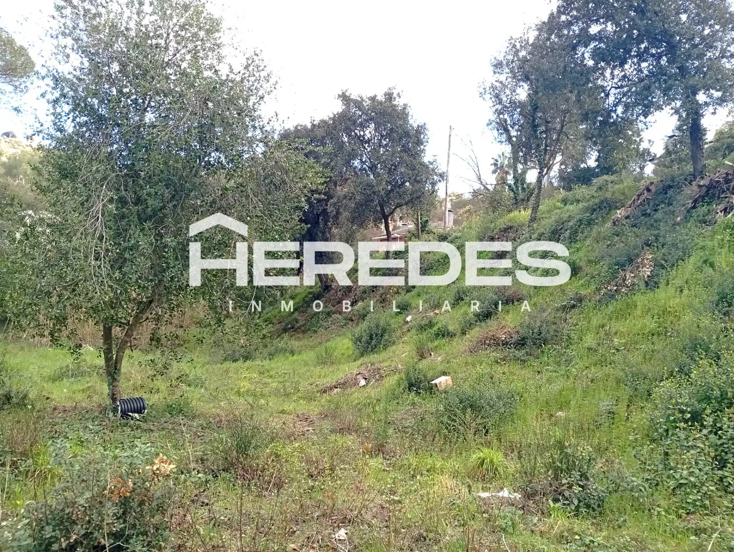 Terreno residencial en venta en Carrer Finestrelles 4, imagen 3