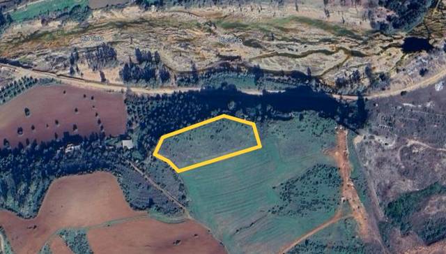 Terreno en Venta en Calle Cristóbal Colón en Niebla