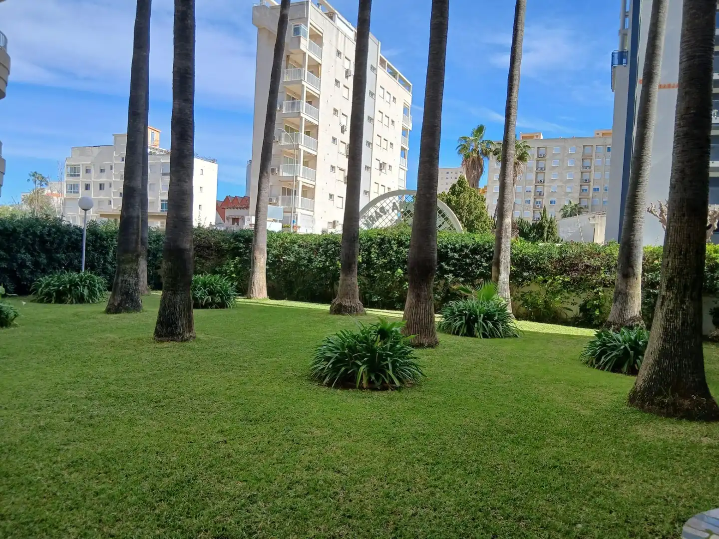Mini appartamento con piscina in affitto a Playa de Gandia, imagen 30