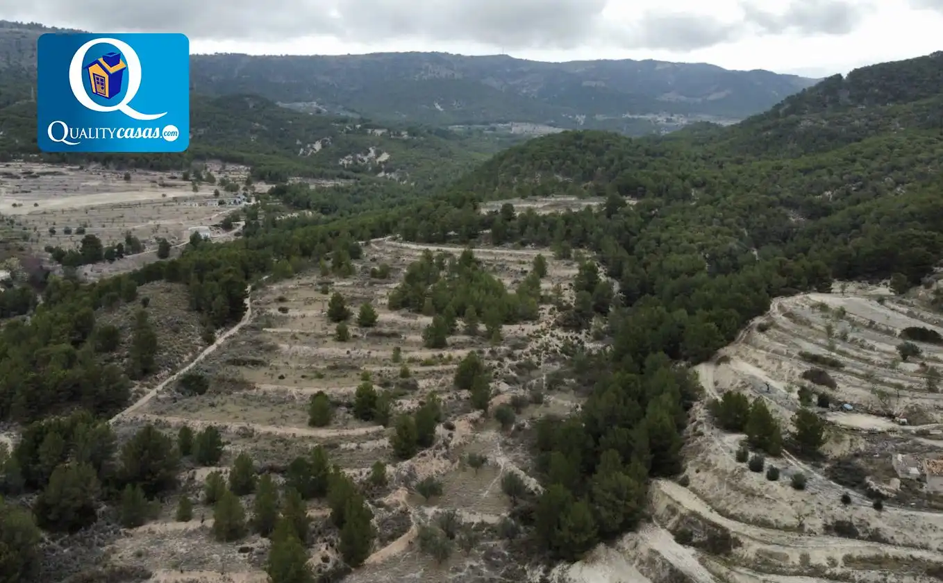 Terrenys i solars en venda a Torremanzanas / La Torre de les Maçanes, imagen 6