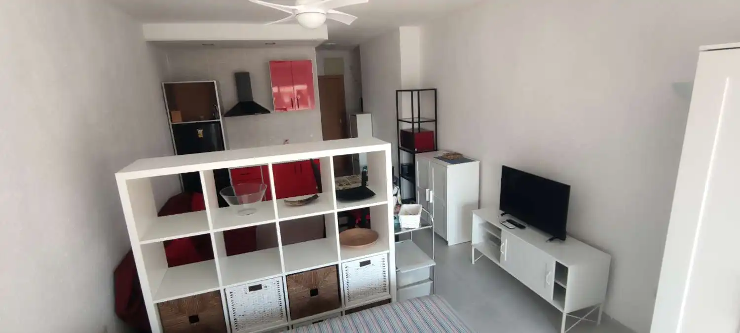 Living room of Study for rent in Torremolinos  with Furnished and Pets allowed