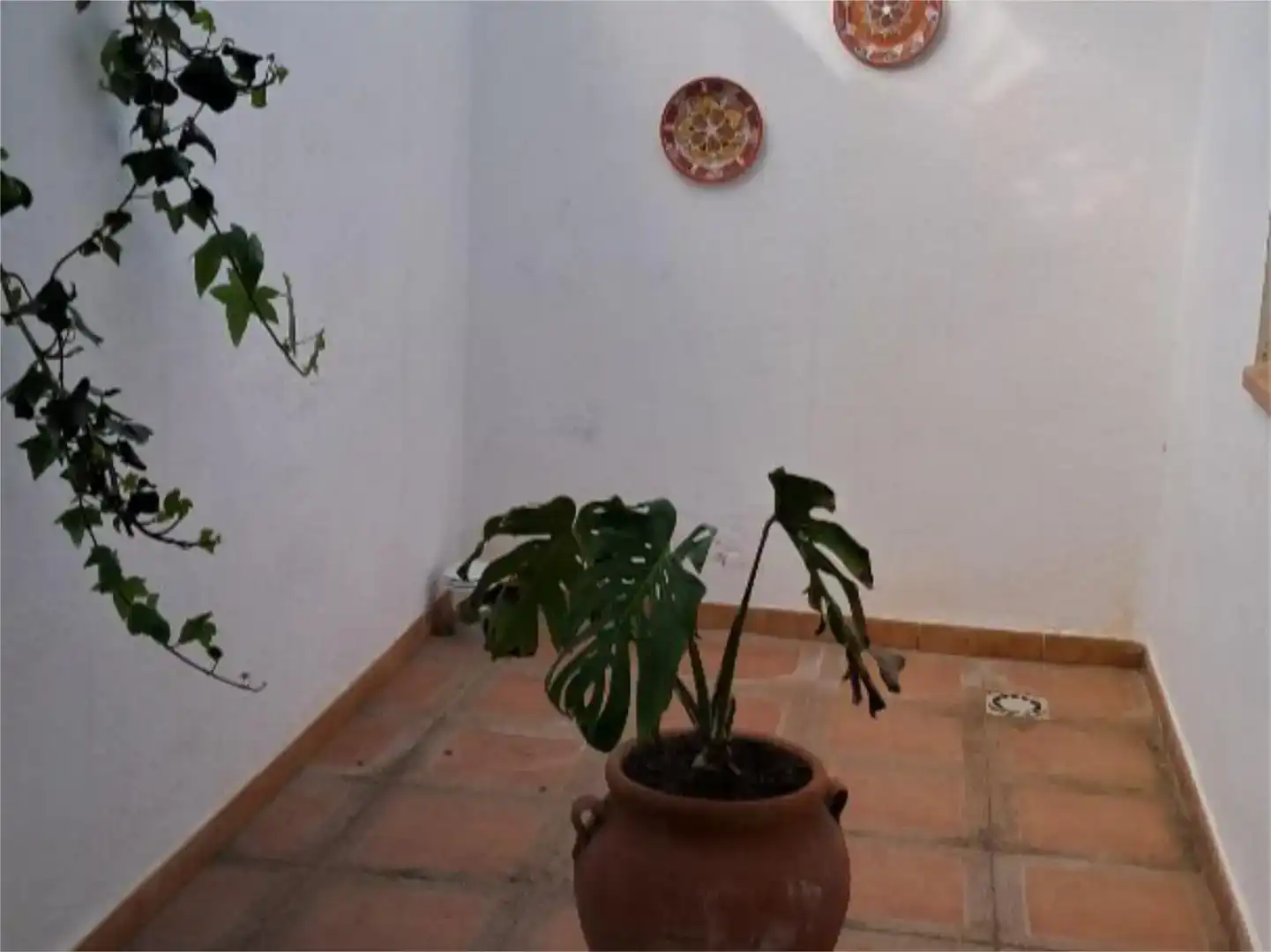 Jardín de Casa o chalet en venta en Vinaròs con Aire acondicionado, Jardín privado y Piscina