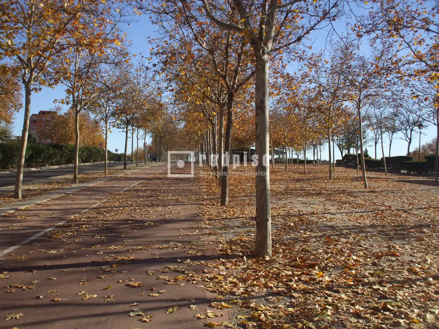 Local comercial en venda a Puente de Vallecas, imagen 11