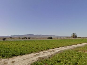 Terreno rustico in vendita a Totana