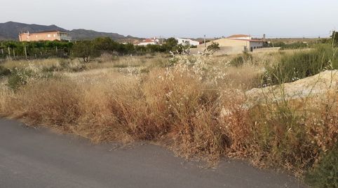PARCELA EN HUITAR MAYOR, OLULA DEL RÍO, ALMERÍA., imatge 4