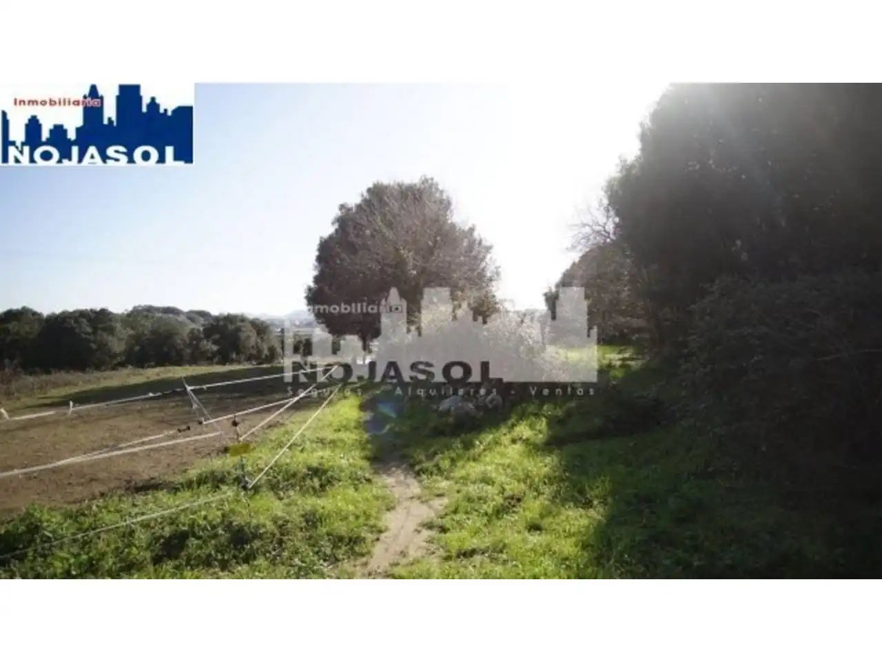Terreni e lotti in vendita a Calle siete villas, imagen 13