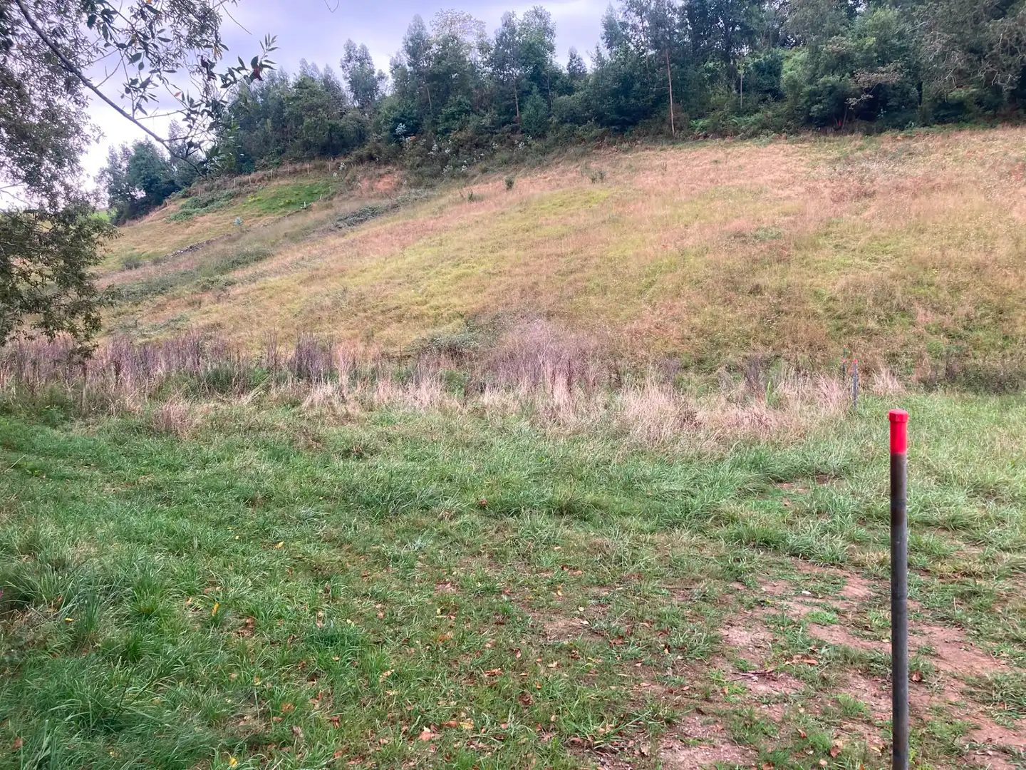 Terreno en venta en Villaviciosa