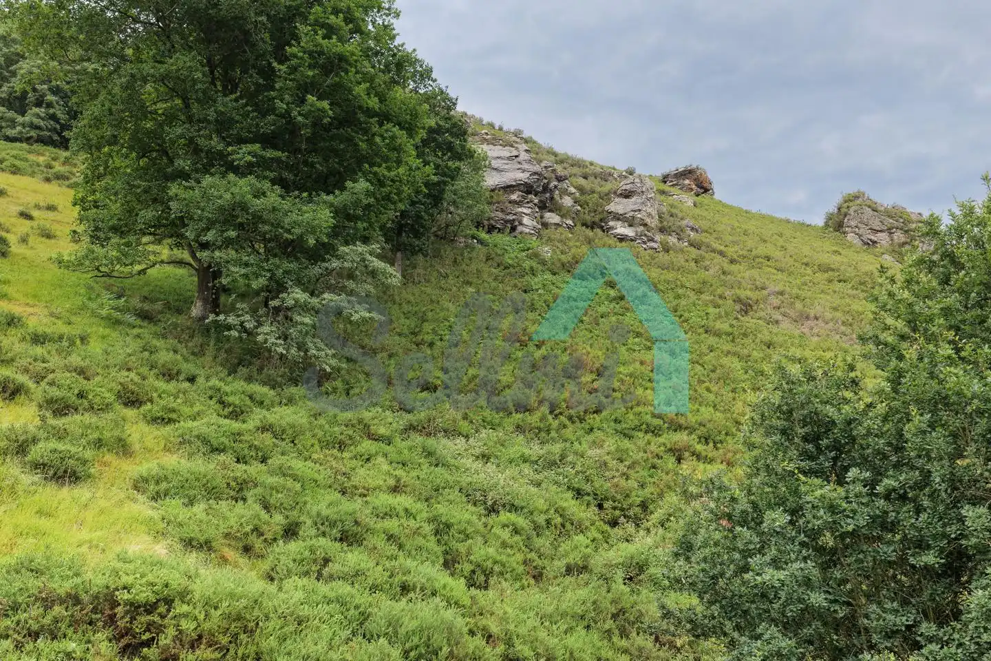 Land for sale in Proaza