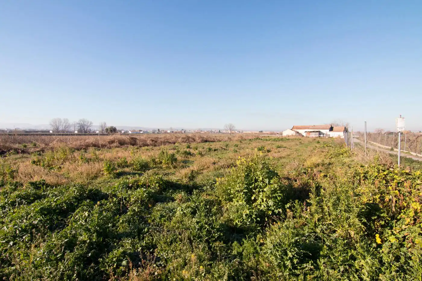 Land for sale in Granada