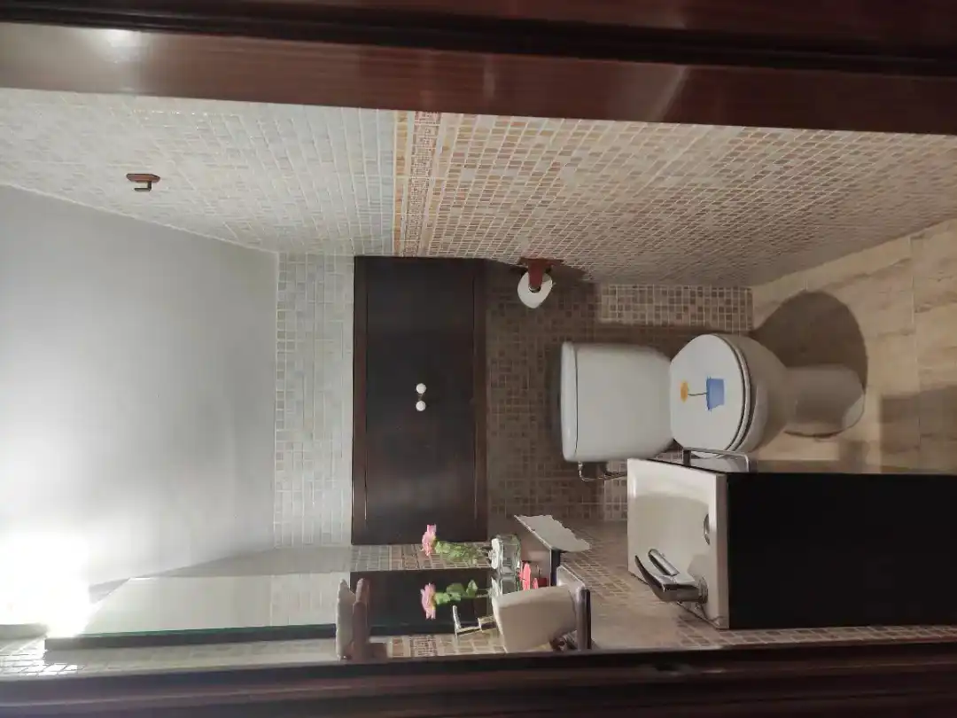 Baño de Casa o chalet en venta en Almadén de la Plata con Terraza, Amueblado y Balcón