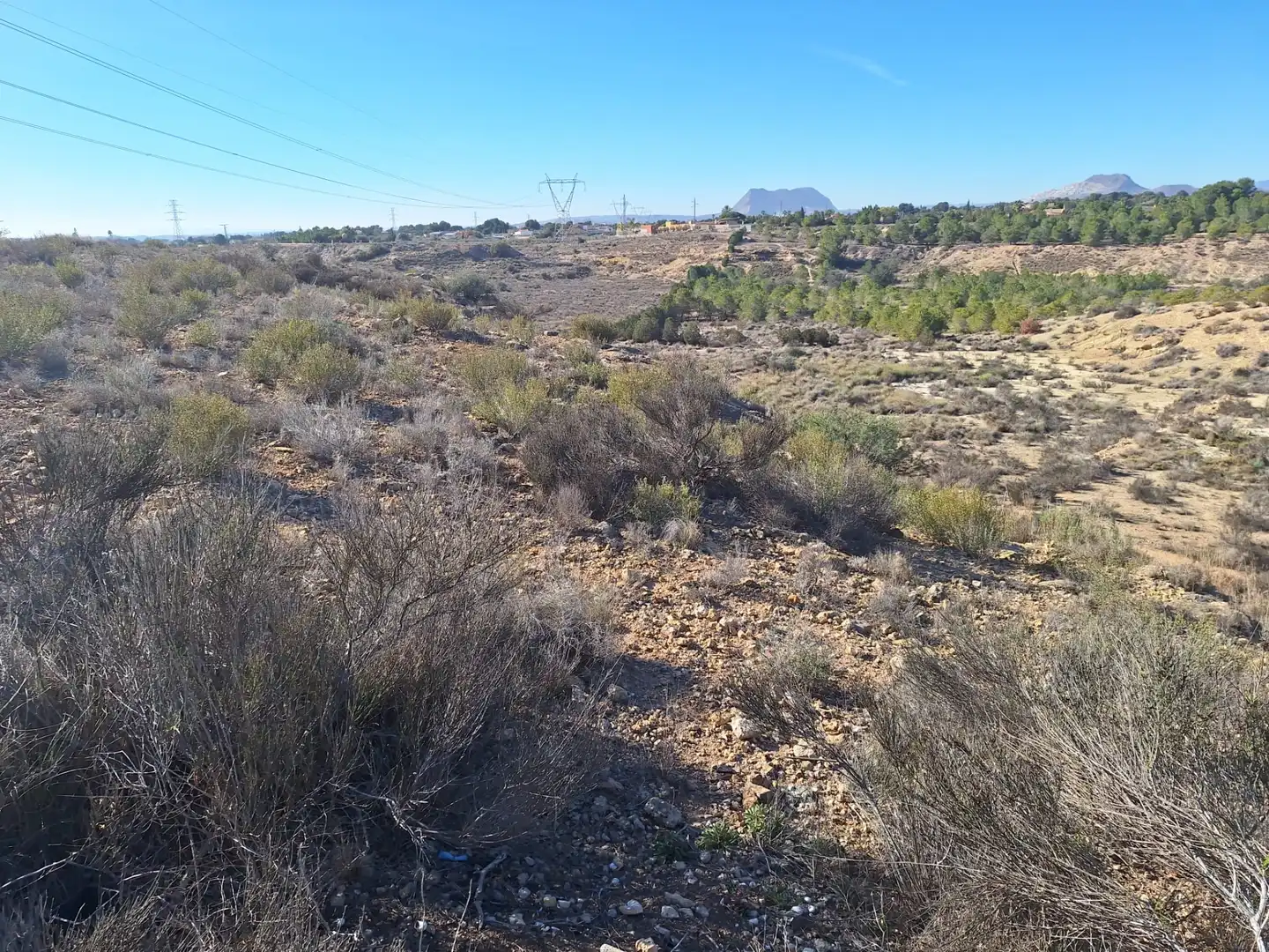 Rural land for sale in Villamontes - Boqueres, imagen 5