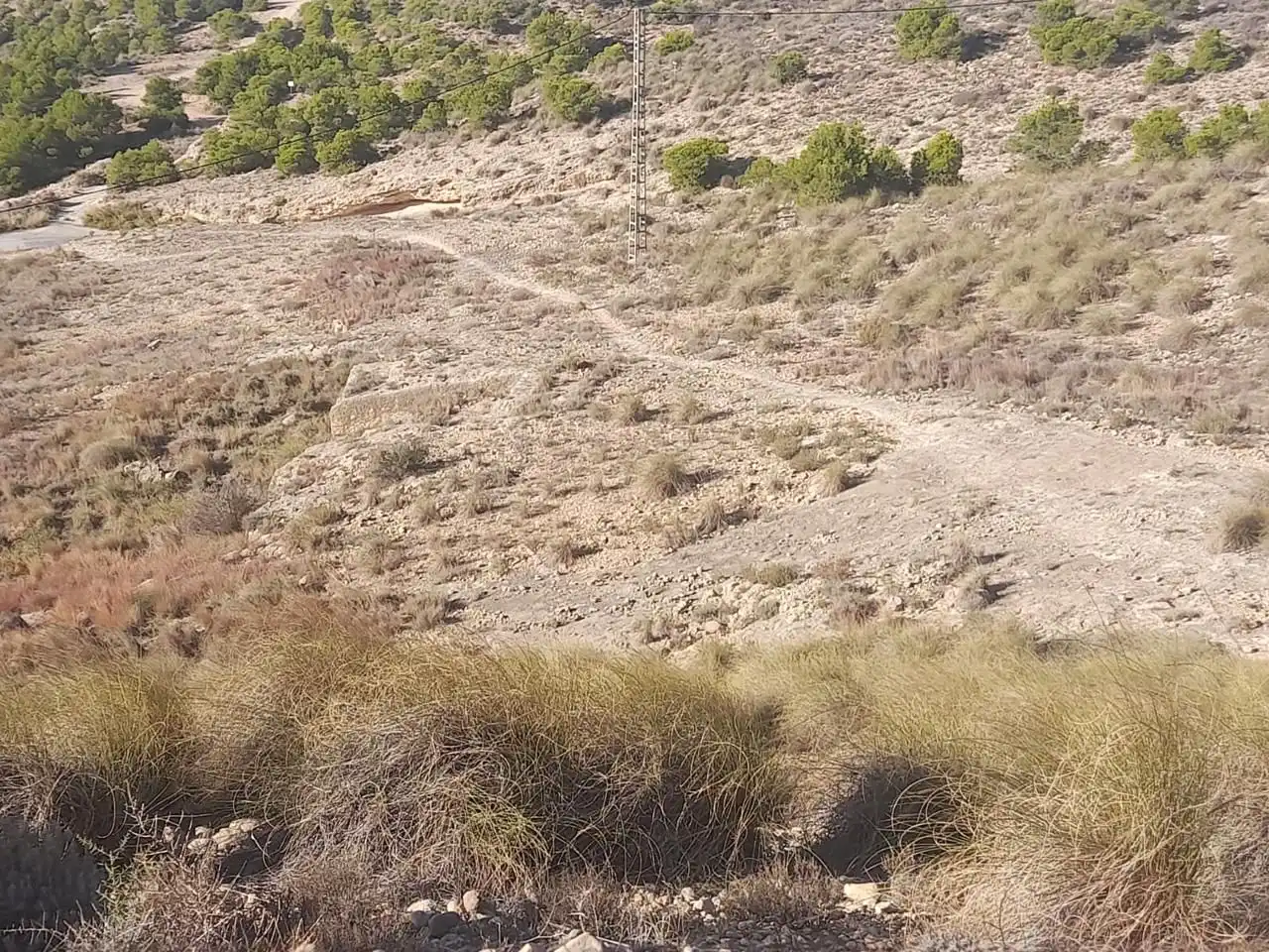 Terreno en venta en Elche / Elx