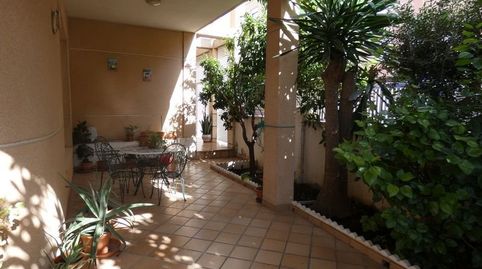 Foto 2 de Casa o chalet en venta en N/a, -1, Almoradí, Alicante
