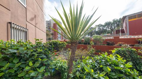 Photo 5 of Flat for sale in Tamara, Jinamar, Telde