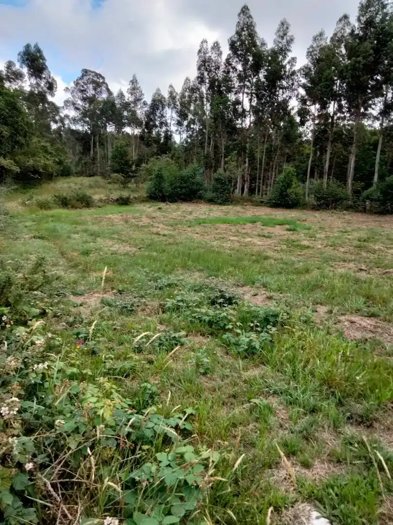Finca rústica en venda en Cotobade