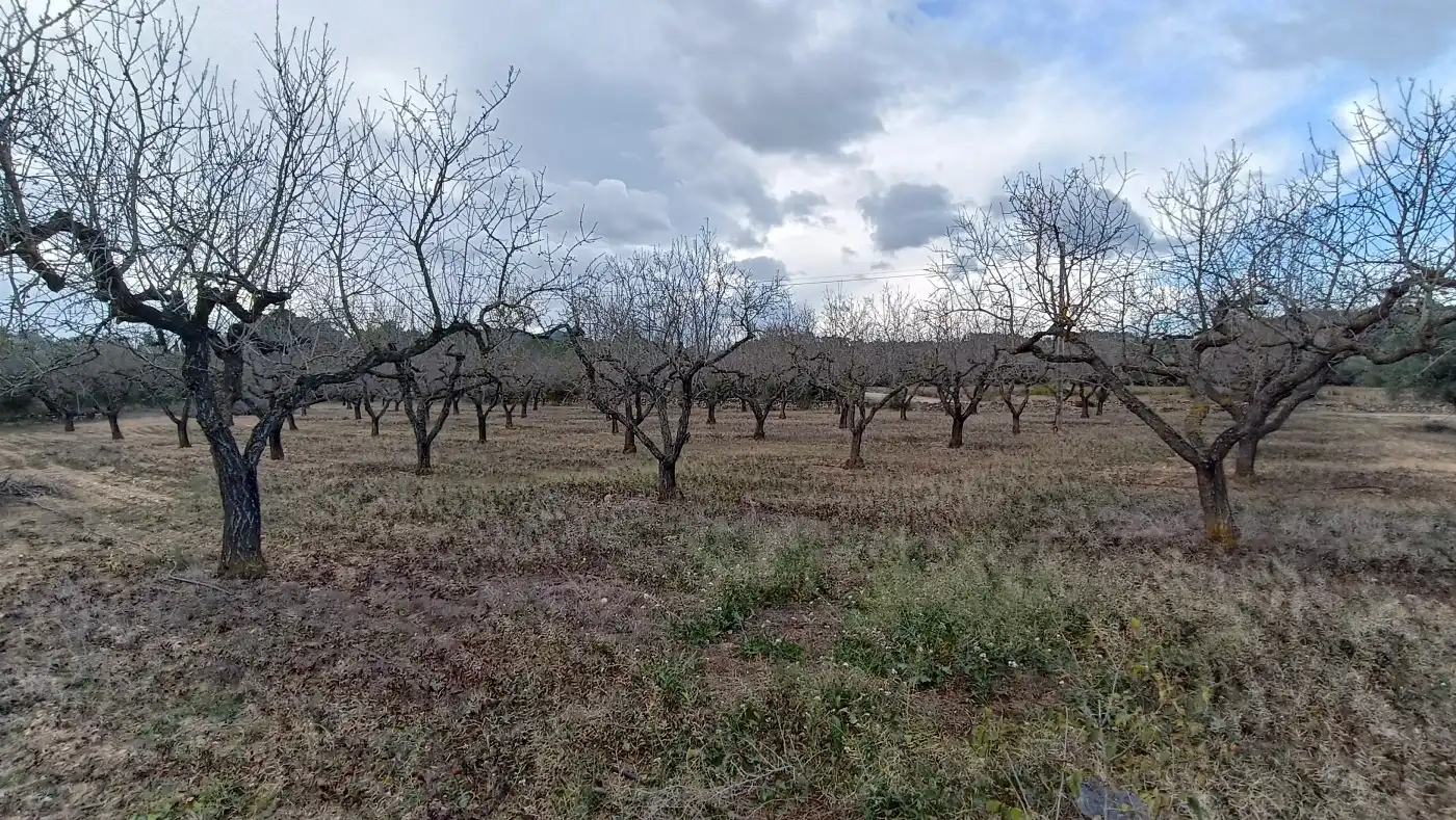 Terrain rustique à vendre à Rasquera, imagen 4