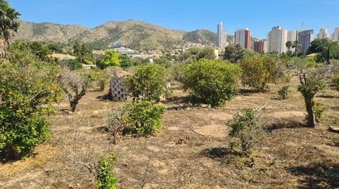 Foto 2 von Country house zum Verkauf in Rincón Bajo, Benidorm