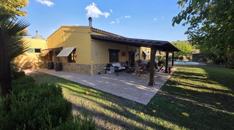 Finca Rústica en Pedreres Altes  Cotxinets Petrer