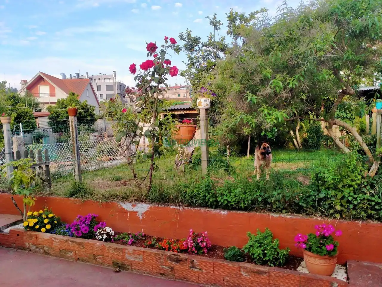 Maison avec jardin à vendre à Centro Urbano, imagen 4
