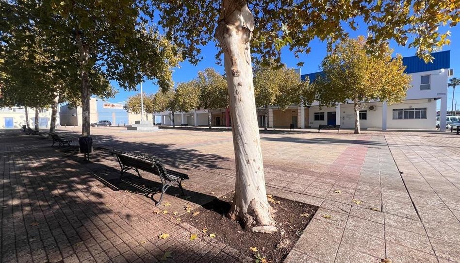 Photo 1 of Industrial buildings for sale in Guillena pueblo, Sevilla