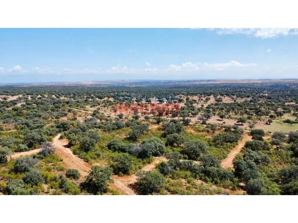 Finca rústica en venda en Villar del Pedroso