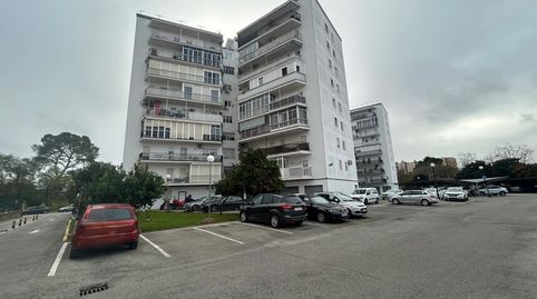 Foto 2 de Pis en venda a Pago San José - Princi - Jerez, Jerez de la Frontera
