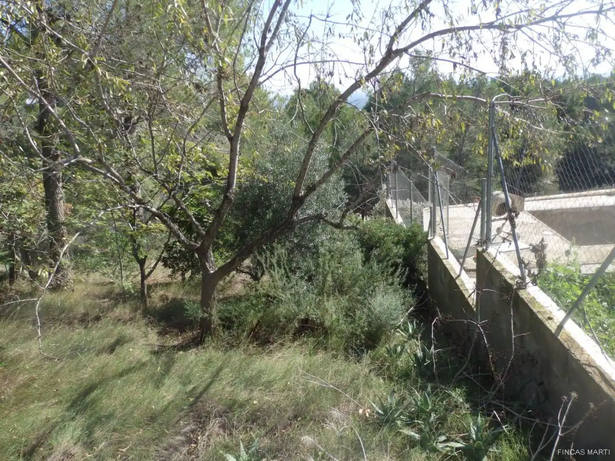 Terreno residenziale in vendita a Riudecanyes, imagen 10
