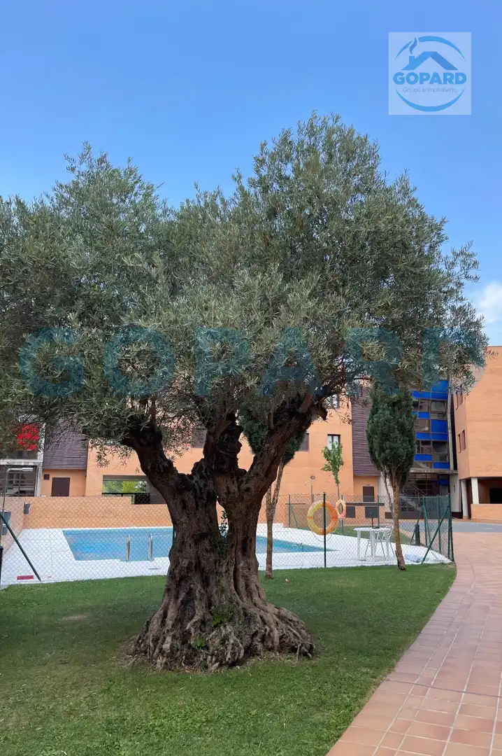Piso de alquiler en Villanueva de la Cañada ciudad