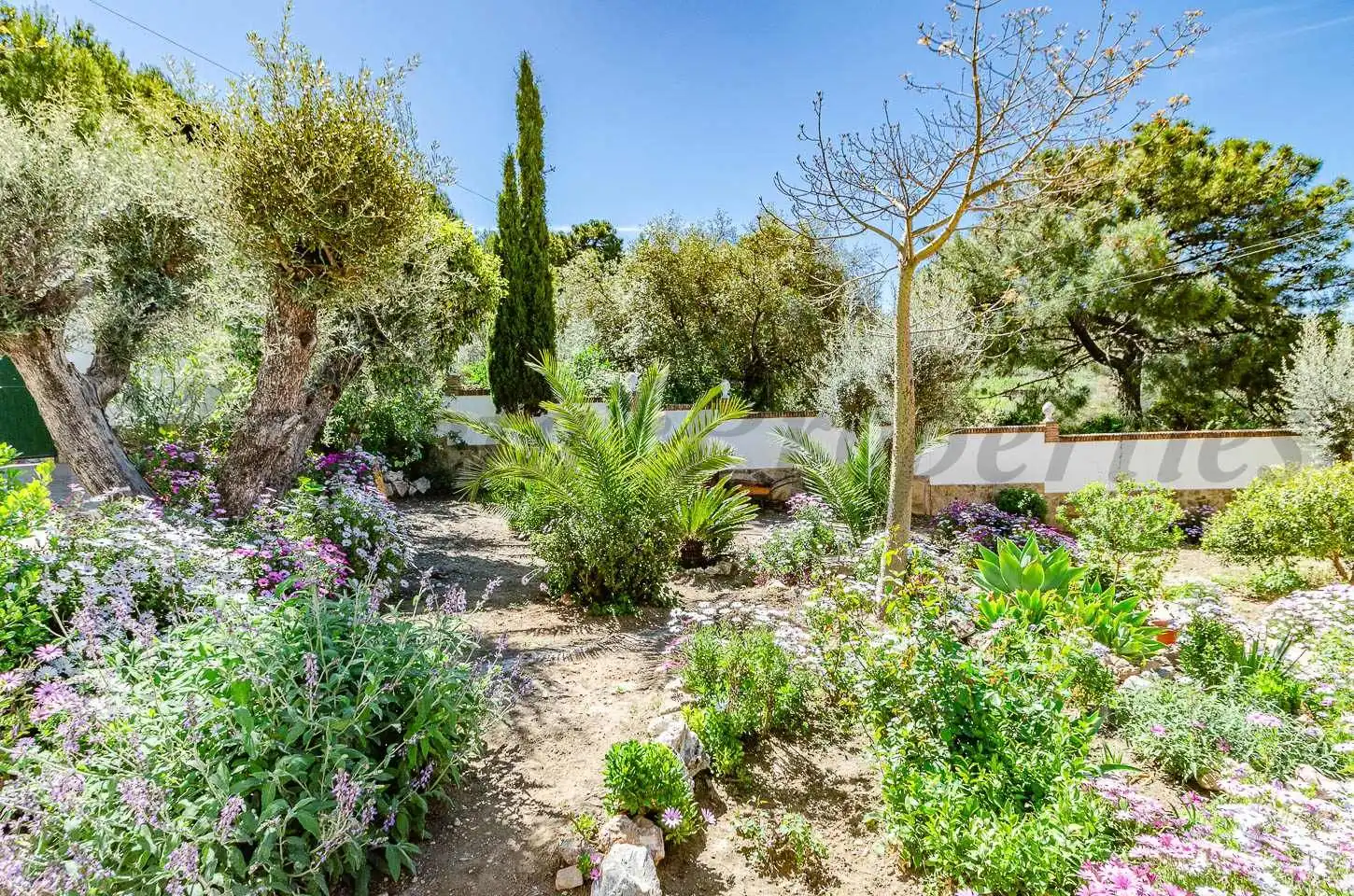 Maison avec piscine à vendre à Cómpeta, imagen 19